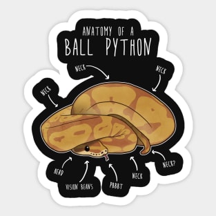 Anatomy of a Caramel Ball Python Sticker